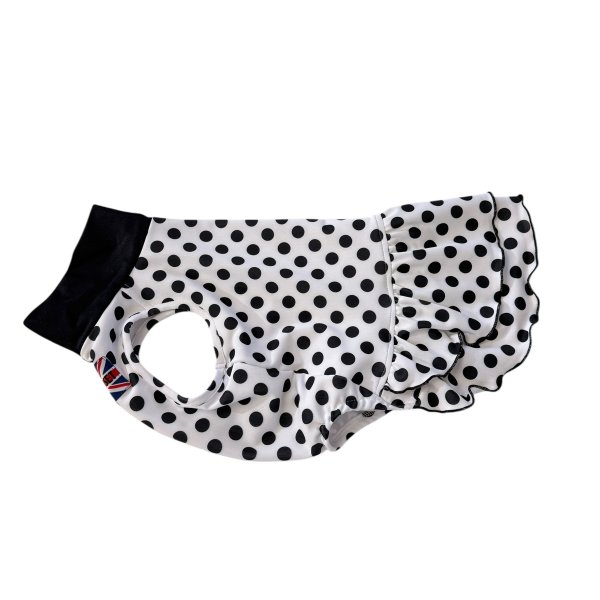 画像5:  【注文受付中】  2月新作 【キャバスーツ ワンピ】DOTS FAMILY（ドットファミリー） (5)