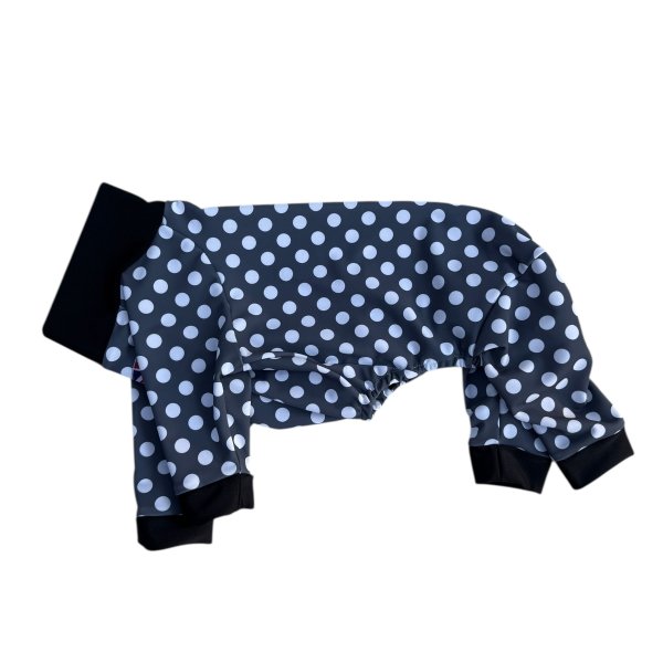 画像5:  【注文受付中】  2月新作 【キャバスーツ LIMITED】DOTS FAMILY（ドットファミリー） (5)