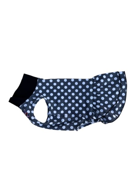 画像1:  【注文受付中】  2月新作 【キャバスーツ ワンピ】DOTS FAMILY（ドットファミリー） (1)