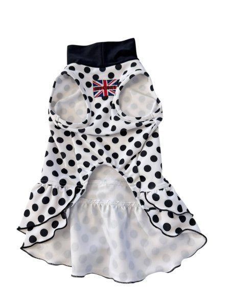 画像6:  【注文受付中】  2月新作 【キャバスーツ ワンピ】DOTS FAMILY（ドットファミリー） (6)