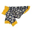 画像8: 【CAVA TEE】Petal NO.76 (8)