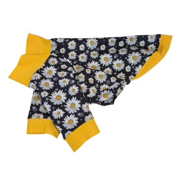 画像8: 【CAVA TEE】Petal NO.76 (8)