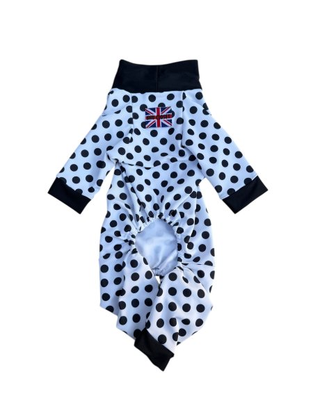 画像3:  【注文受付中】  2月新作 【キャバスーツ LIMITED】DOTS FAMILY（ドットファミリー） (3)