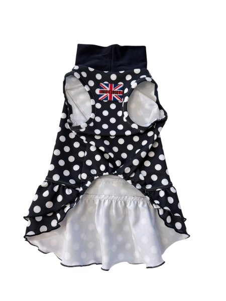 画像11:  【注文受付中】  2月新作 【キャバスーツ ワンピ】DOTS FAMILY（ドットファミリー） (11)