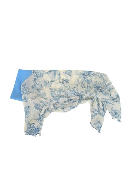 画像3:  【注文受付中】  6月新作 【キャバスーツ LIMITED】Airy SMOCK：Bleu Toile (3)