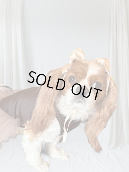 画像3: リボンイヤーバンド【ミント・Ｍサイズ】 (3)