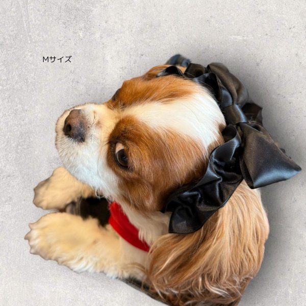 画像5: リボンイヤーバンド【シトラス・Mサイズ】 (5)