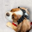 画像4: リボンイヤーバンド【ラベンダー・Ｍサイズ】 (4)