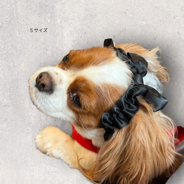 画像6: リボンイヤーバンド【シトラス・Mサイズ】 (6)