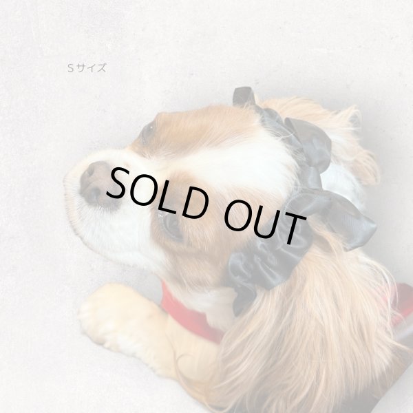 画像6: リボンイヤーバンド【ミント・Ｍサイズ】 (6)