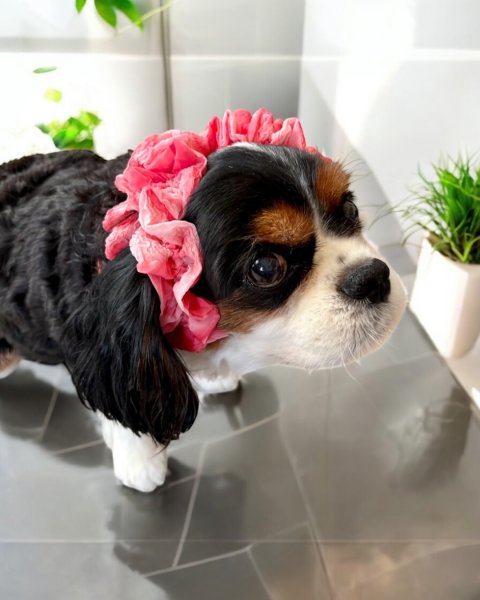 画像2: ヘアータイ【浴衣・ピンク】 (2)