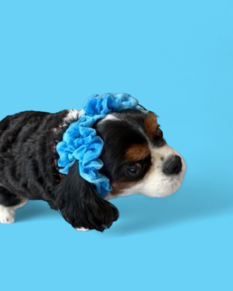 画像2: ヘアータイ【浴衣・ブルー】 (2)