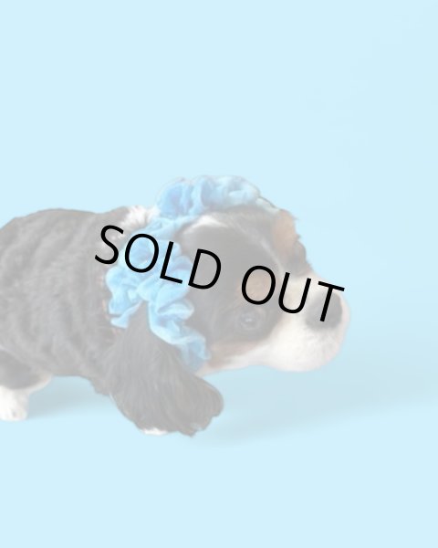 画像2: ヘアータイ【浴衣・ブルー】 (2)