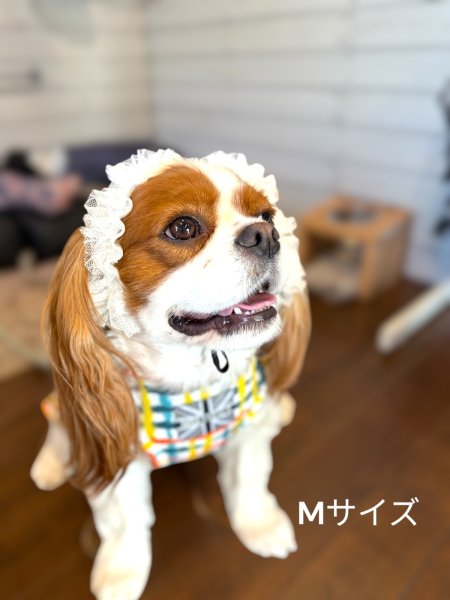 画像2: ヘアータイ【ホワイトチュール】 (2)