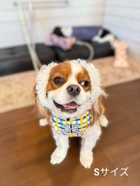 画像3: ヘアータイ【ホワイトチュール】 (3)