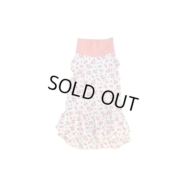 画像2:  9月新作 【キャバスーツ ワンピ】Garden on the Hill ( CORAL ) (2)