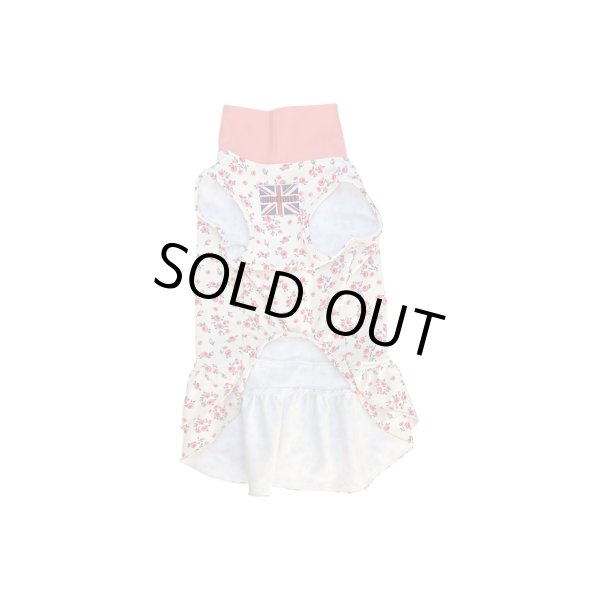 画像3:  9月新作 【キャバスーツ ワンピ】Garden on the Hill ( CORAL ) (3)