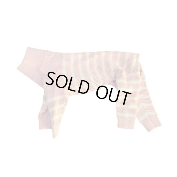 画像2: キャバスーツKNIT2025モデル試着セット（600円分ポイントバック付き） (2)