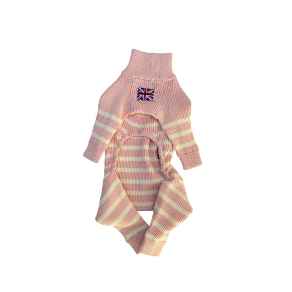 画像2:  12月新作 【Cavasuits KNIT】パネルボーダー2025：ピンク (2)