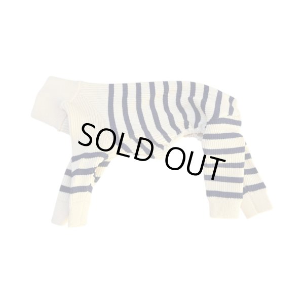 画像4: キャバスーツKNIT2025モデル試着セット（600円分ポイントバック付き） (4)