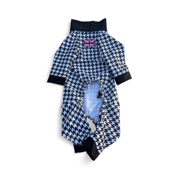 画像3:  【注文受付中・なくなり次第終了】  12月新作 【キャバスーツ LIMITED】Chidori (3)