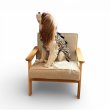 画像3: Dog Chair (3)