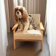 画像2: Dog Chair (2)