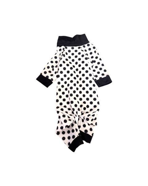 画像4:  【注文受付中】  2月新作 【キャバスーツ LIMITED】DOTS FAMILY（ドットファミリー） (4)