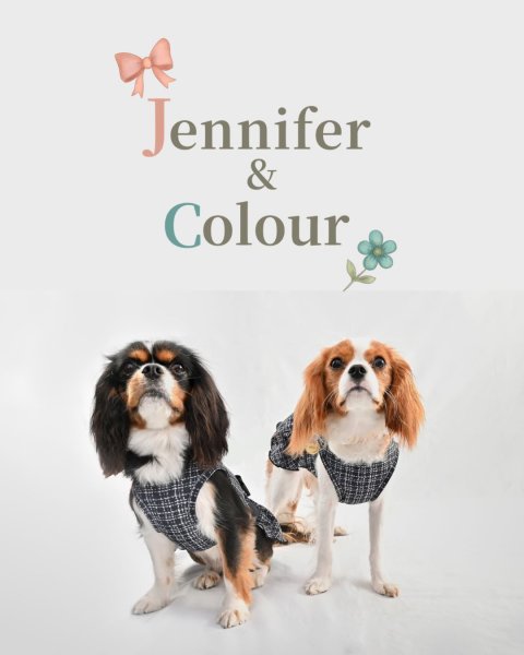 画像8:  【注文受付中】  12月新作 【Jennifer & Colour】Switch Dress：BLACK TWEED (8)