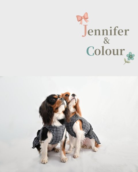 画像15:  【注文受付中】  12月新作 【Jennifer & Colour】Switch Dress：BLACK TWEED (15)
