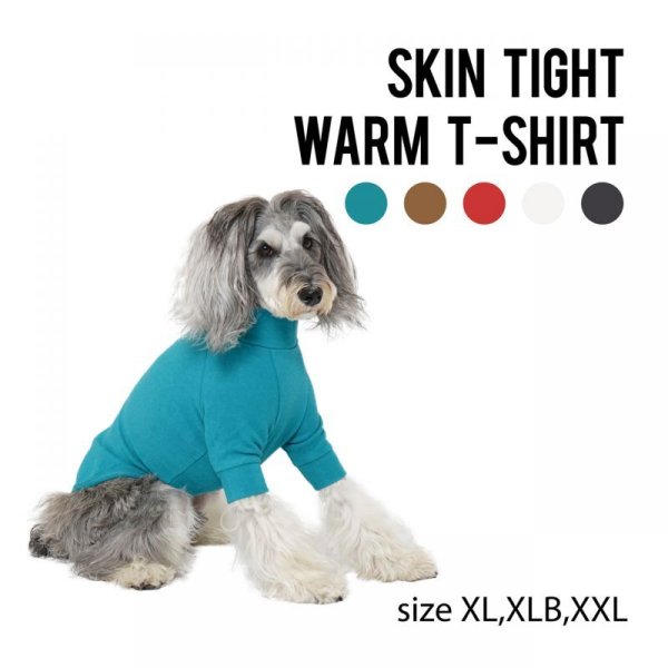 画像4: SKIN TIGHT WARM T-SHIRT スキンタイトウォームTシャツ (4)