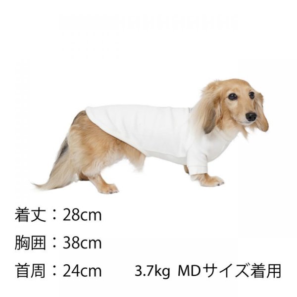 画像24: SKIN TIGHT WARM T-SHIRT スキンタイトウォームTシャツ (24)