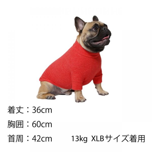 画像27: SKIN TIGHT WARM T-SHIRT スキンタイトウォームTシャツ (27)