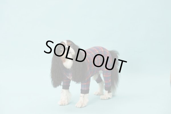 画像6:  【30％OFF】 【キャバスーツ LIMITED】BOOK END (6)