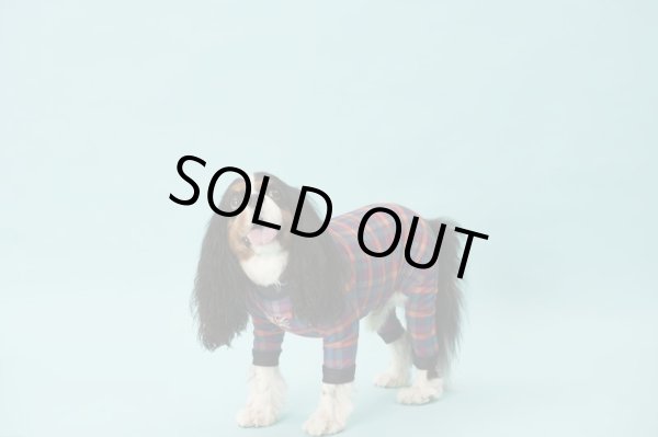 画像4:  【30％OFF】 【キャバスーツ LIMITED】BOOK END (4)
