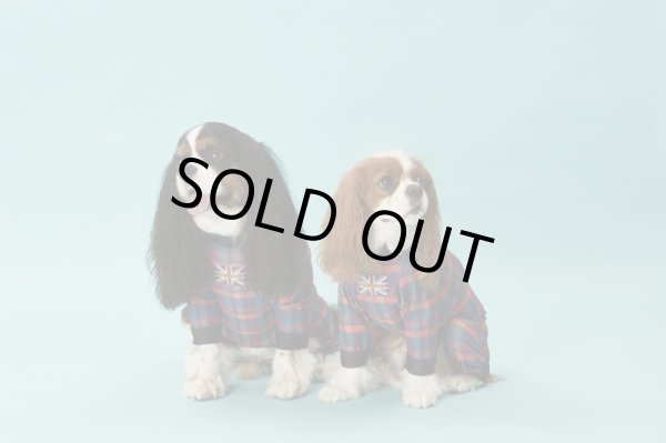 画像7:  【30％OFF】 【キャバスーツ LIMITED】BOOK END (7)