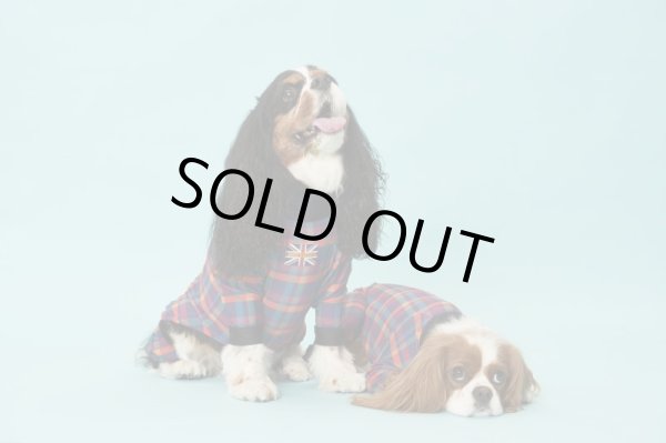 画像3:  【30％OFF】 【キャバスーツ LIMITED】BOOK END (3)