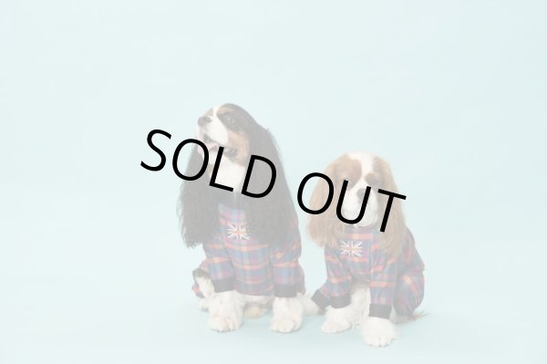 画像8:  【30％OFF】 【キャバスーツ LIMITED】BOOK END (8)