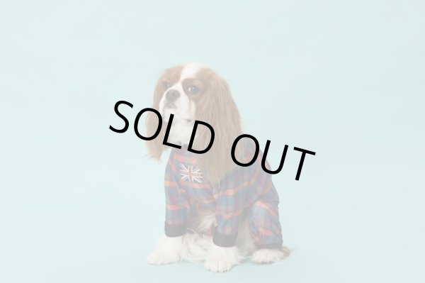 画像5:  【30％OFF】 【キャバスーツ LIMITED】BOOK END (5)