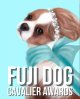 FUJIDOG1（ブルードレス）