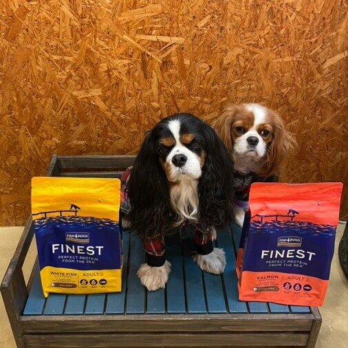 【ZEN店長＆Jennyちゃん愛用フード】【FISH4DOGS】FINEST（1.5kg〜3kg）