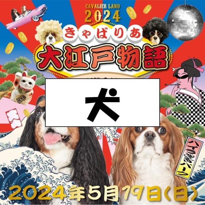 【犬】前売券 キャバリアランド2024「きゃばりあ大江戸物語」